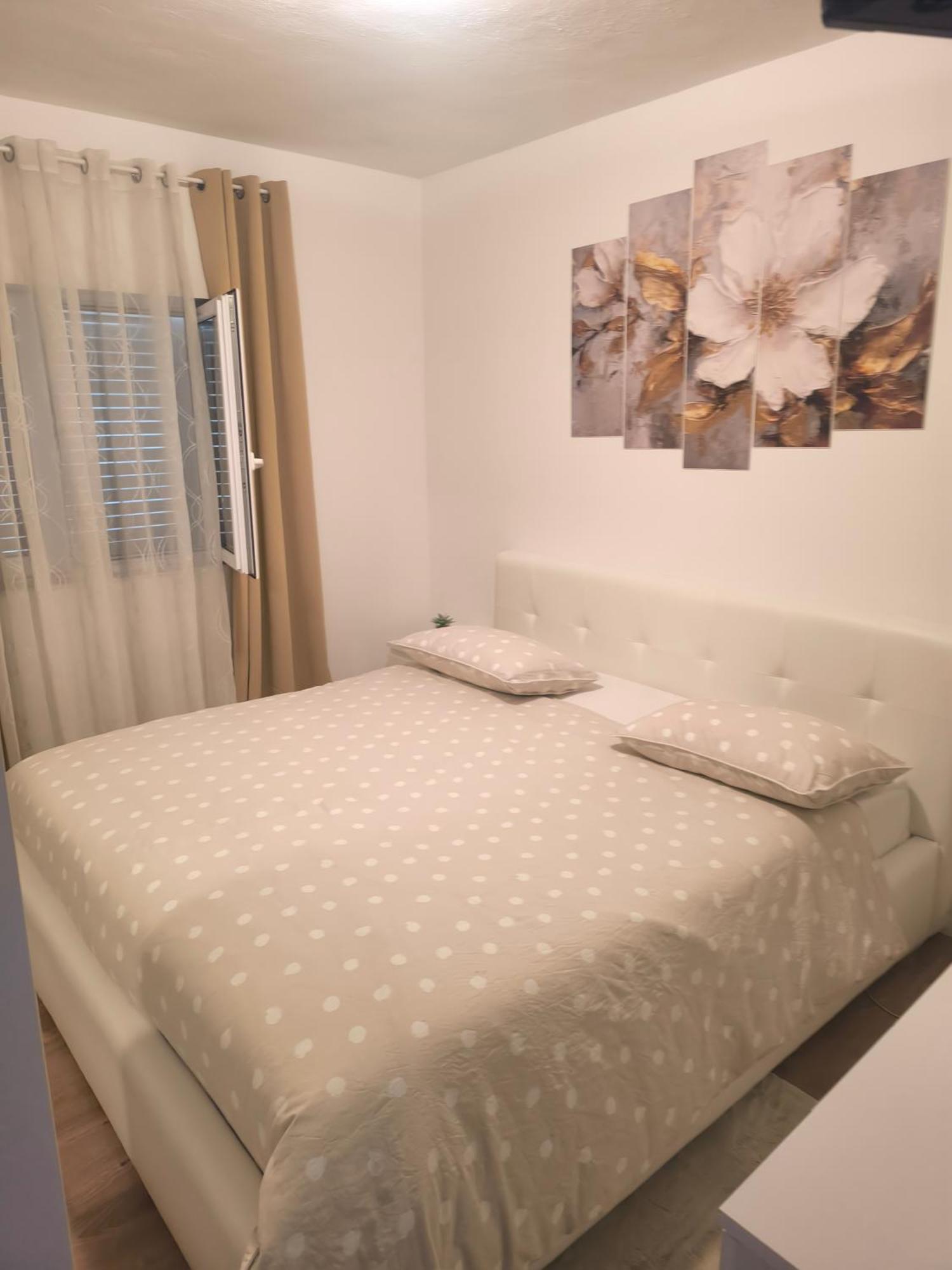 Apartman Rex Svinisce Номер фото